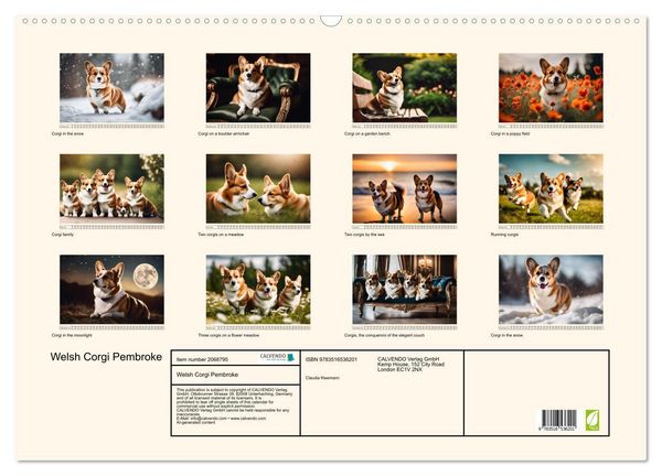 Produktbild: Welsh Corgi Pembroke (Wall Calendar 2026 DIN A2 landscape), CALVENDO 12 Month Wall Calendar