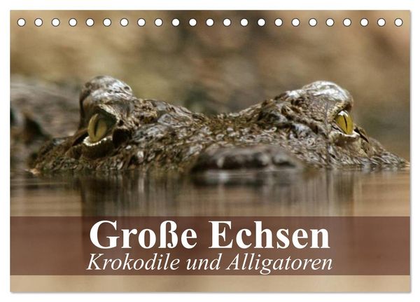 Produktbild: Gro&szlig;e Echsen. Krokodile und Alligatoren (Tischkalender 2026 DIN A5 quer), CALVENDO Monatskalender