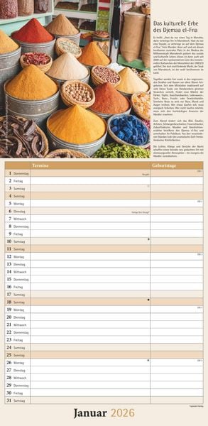 Kräuter & Gewürze 2026 - Streifenkalender 22x45 cm - mit Extraspalte für Geburtstage - Küchentipps und Mondphasen - Wandkalender - Terminplaner