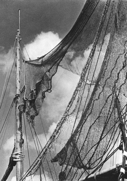 Produktbild: Historische Ansichten von Finkenwerder