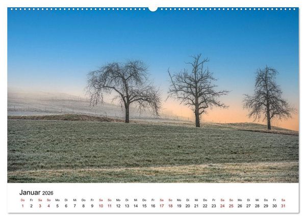 Produktbild: B&auml;ume - Wunder der Natur (hochwertiger Premium Wandkalender 2026 DIN A2 quer), Kunstdruck in Hochglanz