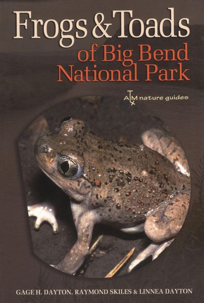 Produktbild: Frogs and Toads of Big Bend National Park