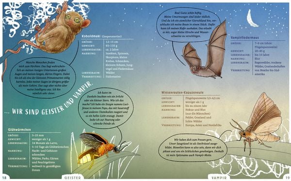 Produktbild: Wir sind die Tiere des Waldes