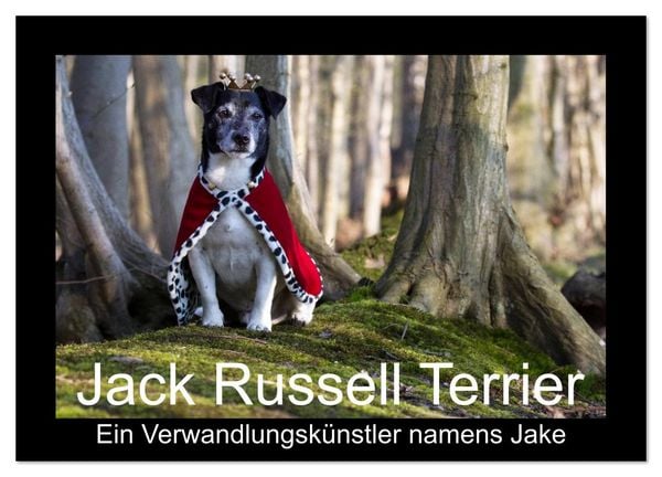 Produktbild: Jack Russell Terrier.....Ein Verwandlungsk&uuml;nstler namens Jake (Wandkalender 2026 DIN A2 quer), CALVENDO Monatskalender