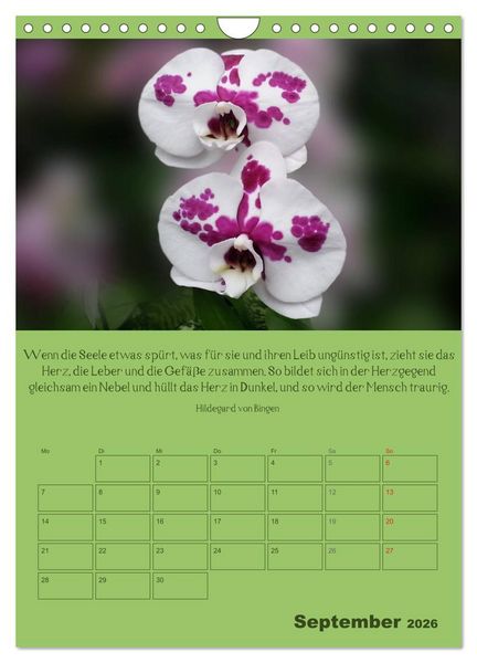 Produktbild: Erkenntnis und Weisheit - Hildegard von Bingen (Wandkalender 2026 DIN A4 hoch), CALVENDO Monatskalender