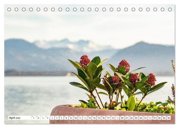 Produktbild: Natur hautnah Kalender (Tischkalender 2026 DIN A5 quer), CALVENDO Monatskalender