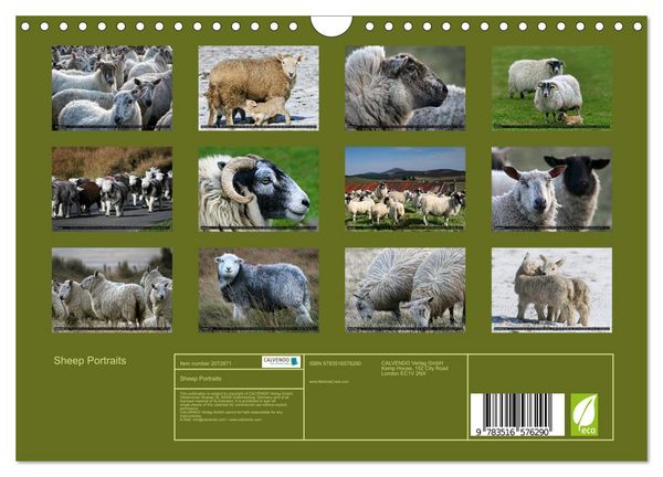 Produktbild: Sheep Portraits (Wall Calendar 2026 DIN A4 landscape), CALVENDO 12 Month Wall Calendar