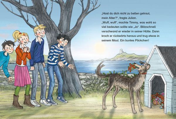 Produktbild: F&uuml;nf Freunde JUNIOR - Die verschwundenen Weihnachtsp&auml;ckchen
