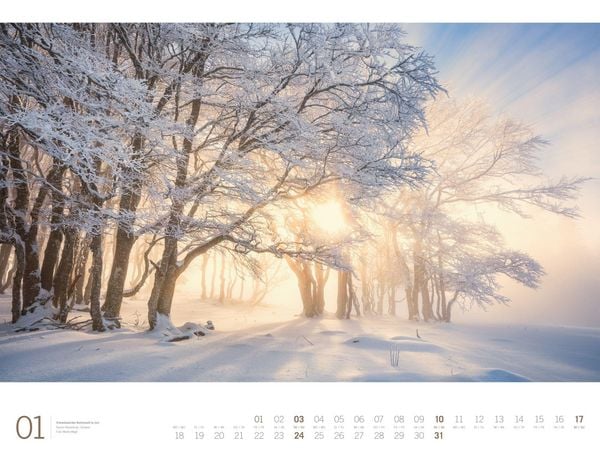 Produktbild: Wald Gallery Kalender 2027