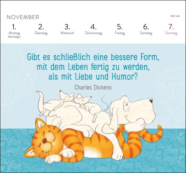 Produktbild: Postkartenkalender 2027: Om-Katze: In der Ruhe liegt die Kraft
