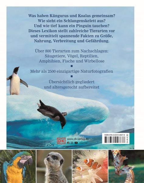 Produktbild: Wissen für clevere Kids. Tiere für clevere Kids