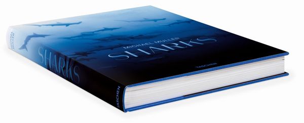 Produktbild: Michael Muller. Sharks