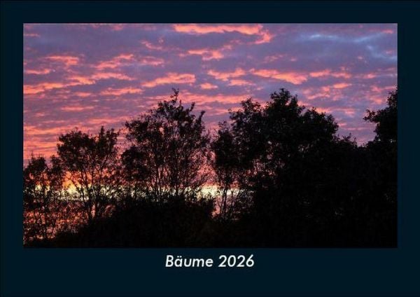 Produktbild: B&auml;ume 2026 Fotokalender DIN A5