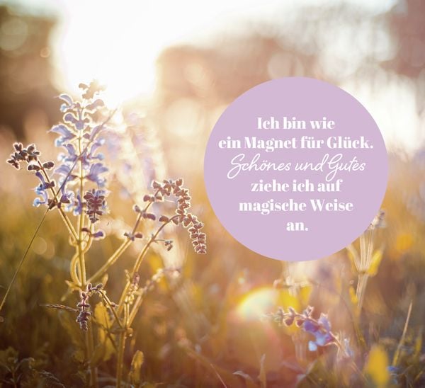 Produktbild: Lichtblicke f&uuml;r die Seele