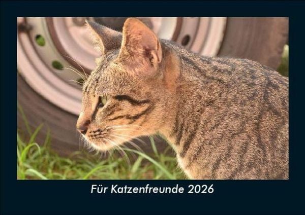 Für Katzenfreunde 2026 Fotokalender DIN A5