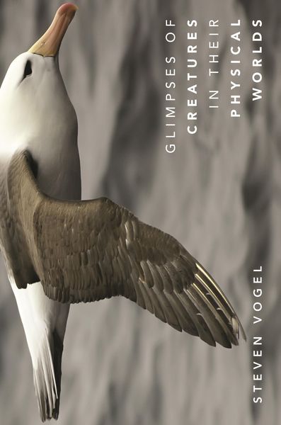Produktbild: Glimpses of Creatures in Their Physical Worlds