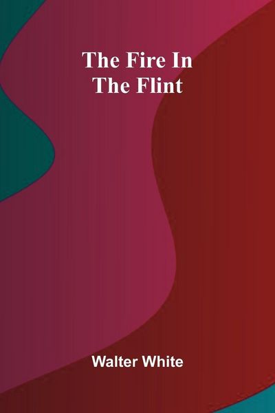 Produktbild: The fire in the flint