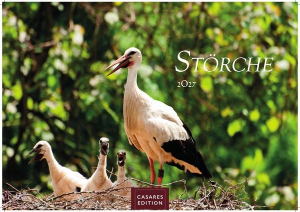 Störche Kalender 2027 – Wandkalender | Fotokalender Tierkalender 24x35cm - Inspirierende Storch-Motive für Natur- und Tierkalenderliebhaber.