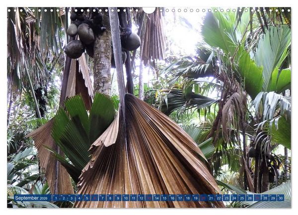 Produktbild: Seychellen - Wild und Sch&ouml;n (Wandkalender 2026 DIN A3 quer), CALVENDO Monatskalender