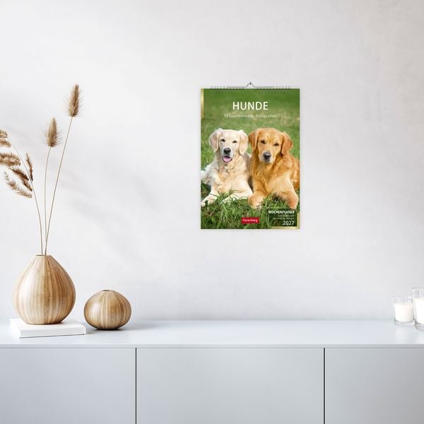 Produktbild: Hunde Wochenplaner 2027 - 53 faszinierende Fotografien