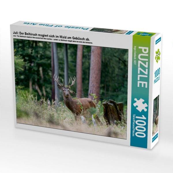 Produktbild: CALVENDO Puzzle Juli: Der Beihirsch reagiert sich im Wald am Geb&uuml;sch ab. | 1000 Teile Lege-Gr&ouml;&szlig;e 64x48cm Foto-Puzzle f&uuml;r gl&uuml;ckliche Stunden