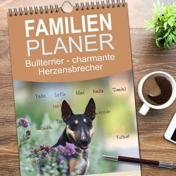 Produktbild: Familienplaner 2026 - Bullterrier - charmante Herzensbrecher mit 5 Spalten (Wandkalender, 21 x 45 cm) CALVENDO
