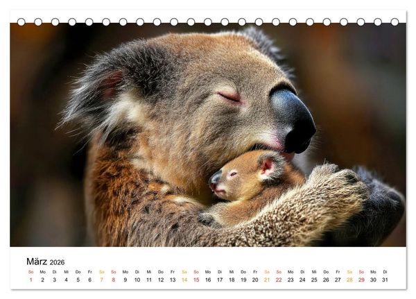 Produktbild: Tierm&uuml;tter - die sanfte Seite der Wildnis (Tischkalender 2026 DIN A5 quer), CALVENDO Monatskalender