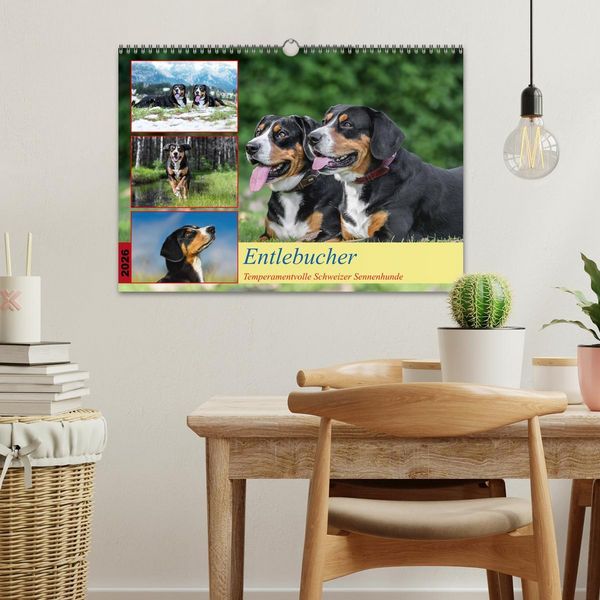 Produktbild: Entlebucher - Temperamentvolle Schweizer Sennenhunde (Wandkalender 2026 DIN A3 quer), CALVENDO Monatskalender
