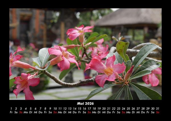 Produktbild: Blumenzauber 2026 Fotokalender DIN A3