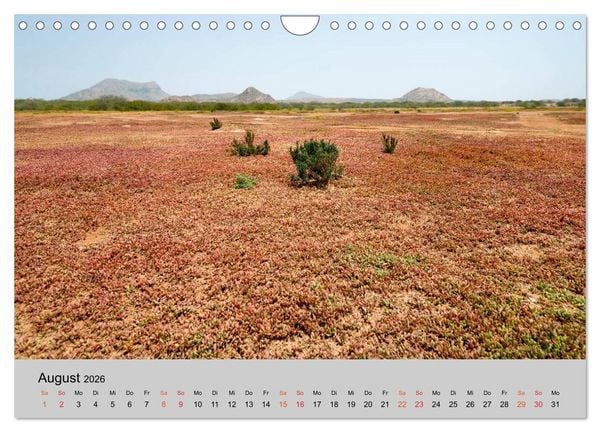 Produktbild: Boa Vista - Perle der Kapverden (Wandkalender 2026 DIN A4 quer), CALVENDO Monatskalender