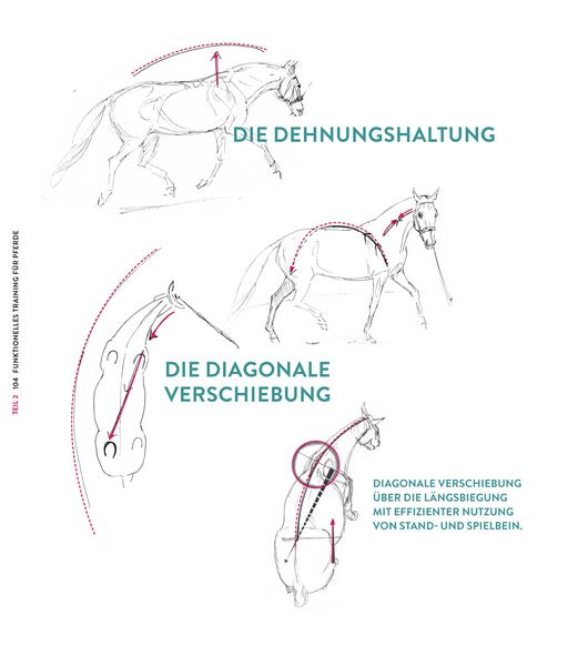 Produktbild: Die Kraft der Diagonalen