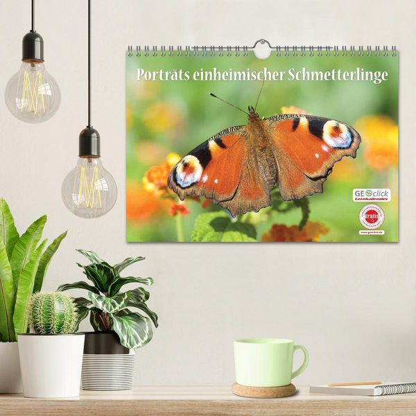 Produktbild: GEOclick Lernkalender: Portr&auml;ts einheimischer Schmetterlinge (Wandkalender 2026 DIN A4 quer), CALVENDO Monatskalender