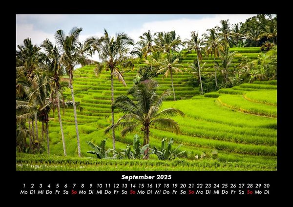 Produktbild: Palmentraum 2025 Fotokalender DIN A3