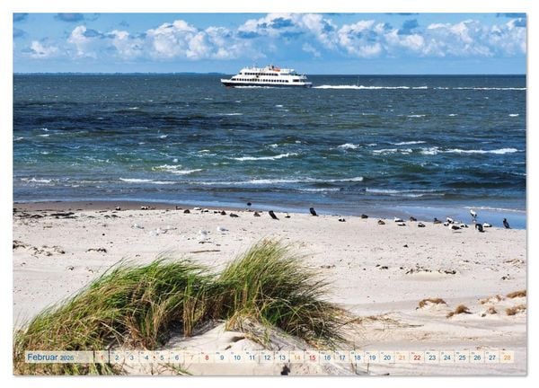Produktbild: Amrum Gl&uuml;cksort (Wandkalender 2026 DIN A4 quer), CALVENDO Monatskalender