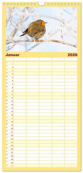 Produktbild: Familienplaner 2026 - Geliebtes Rotkehlchen mit 5 Spalten (Wandkalender, 21 x 45 cm) CALVENDO
