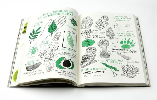 Produktbild: Mein Naturbuch &uuml;berarb. Neuauflage