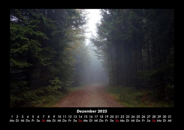 Produktbild: Waldzauber 2025 Fotokalender DIN A3