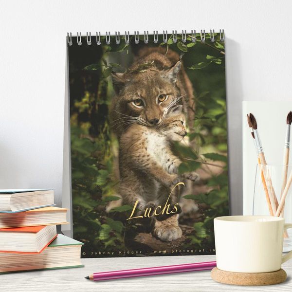 Produktbild: Luchs (Tischkalender 2026 DIN A5 hoch), CALVENDO Monatskalender