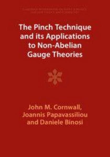 Produktbild: The Pinch Technique and its Applications to Non-Abelian Gauge Theories