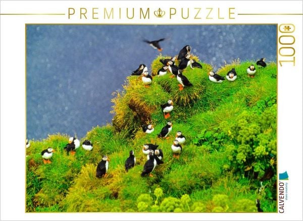 CALVENDO Puzzle Papageitaucher 1000 Teile Lege-Größe 640 x 480 cm Foto-Puzzle Bild von Carola Vahldiek