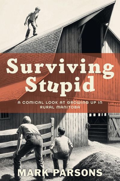Produktbild: Surviving Stupid