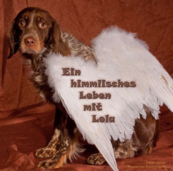 Ein himmlisches Leben mit Lola, Taschenbuch von Stefan Sattler, Tredition, 9783347235731