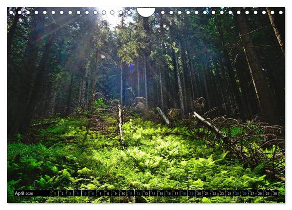 Produktbild: Slowakei - Abseits der Hohen Tatra (Wandkalender 2026 DIN A4 quer), CALVENDO Monatskalender