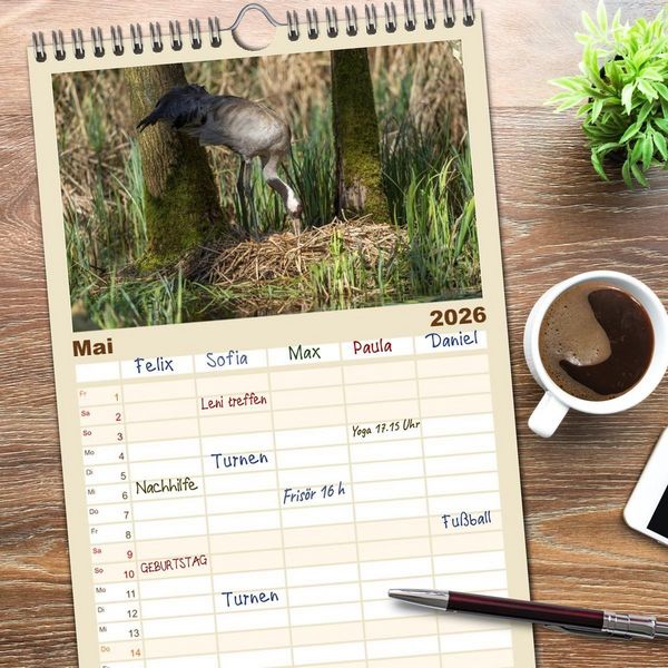 Produktbild: Familienplaner 2026 - Mit Kranichen durch das Jahr mit 5 Spalten (Wandkalender, 21 x 45 cm) CALVENDO