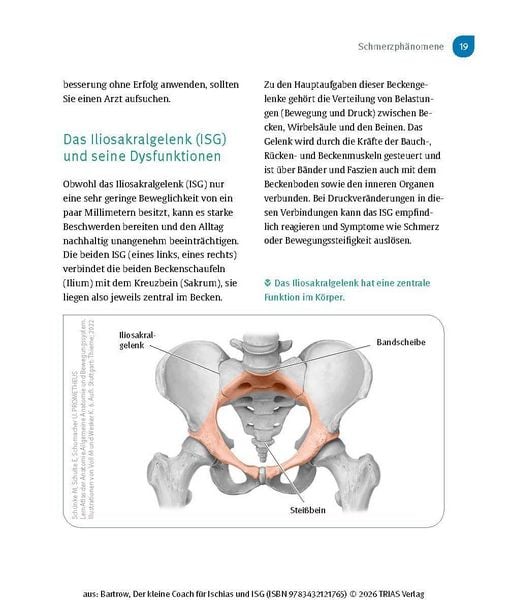 Produktbild: Der kleine Coach f&uuml;r Ischias und ISG