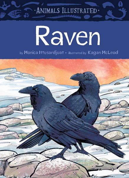 Produktbild: Animals Illustrated: Raven