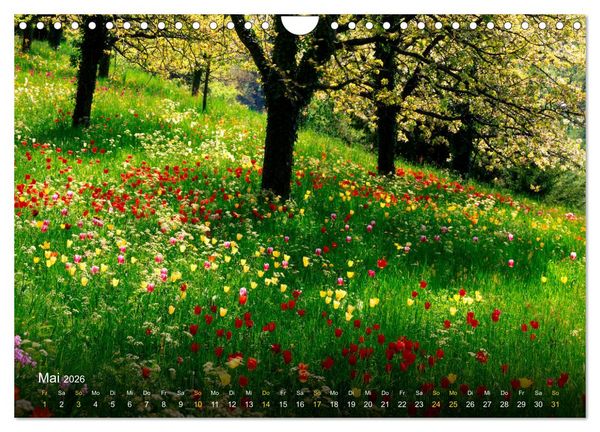 Produktbild: Traum Momente (Wandkalender 2026 DIN A4 quer), CALVENDO Monatskalender
