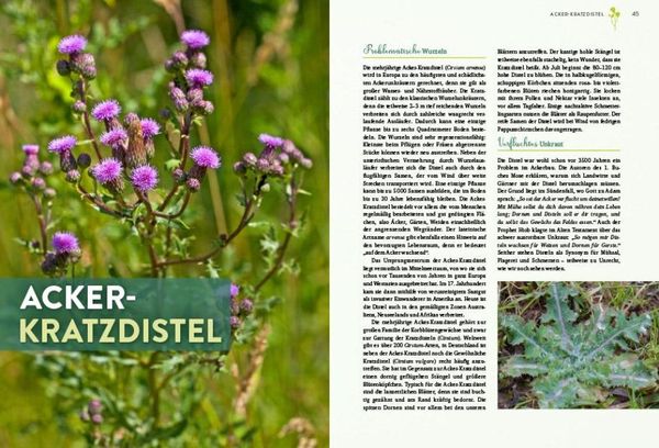 Produktbild: Geheimnisse der Unkr&auml;uter