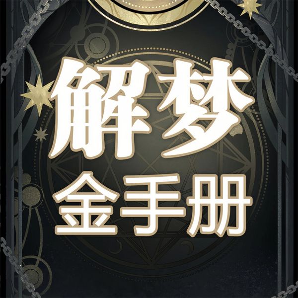 Produktbild: 解梦金手册