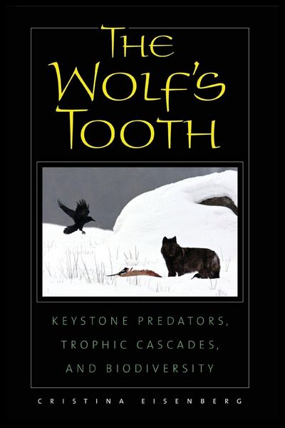 Produktbild: The Wolf's Tooth